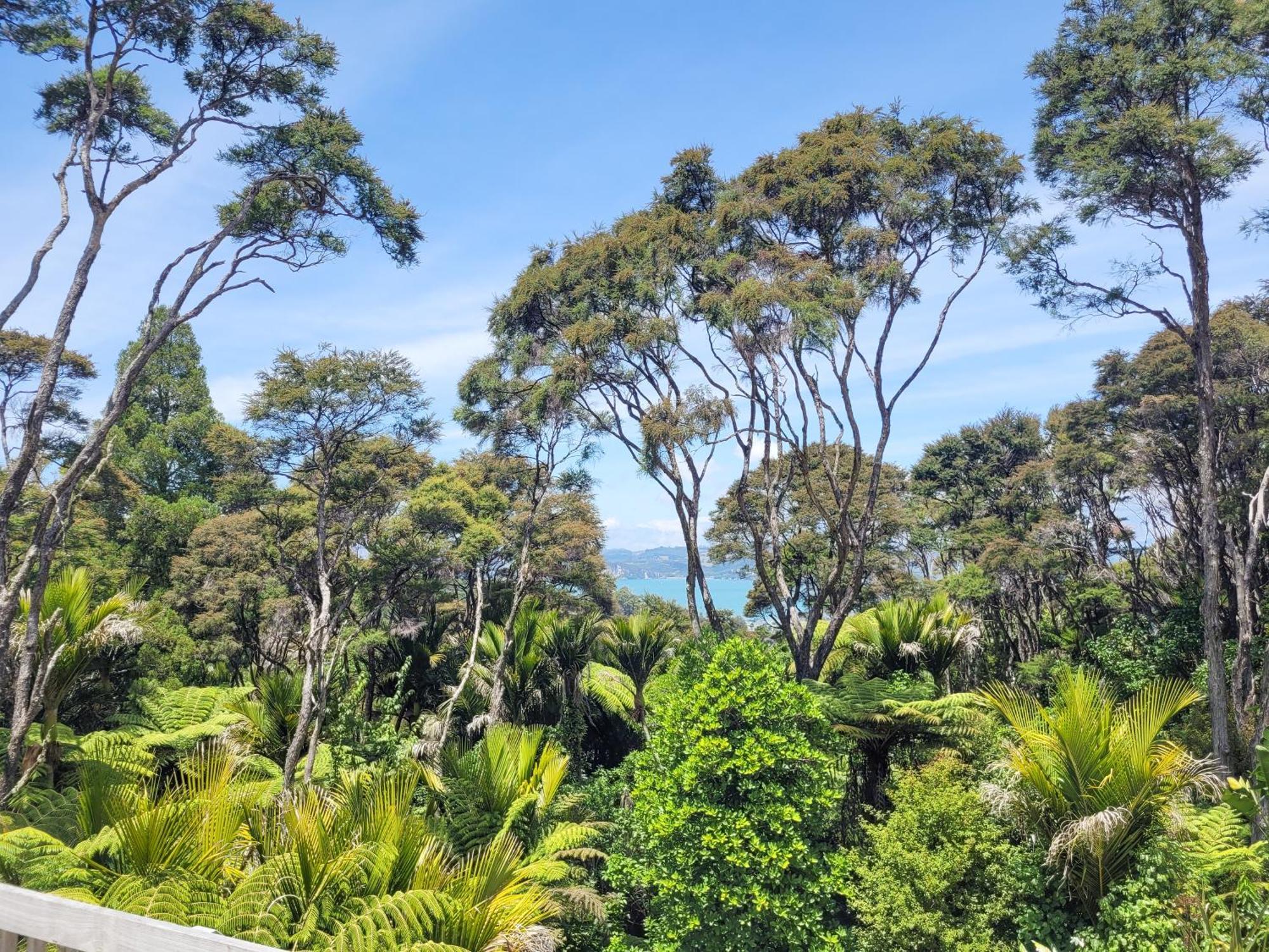 Annabells B&B Whitianga Zewnętrze zdjęcie
