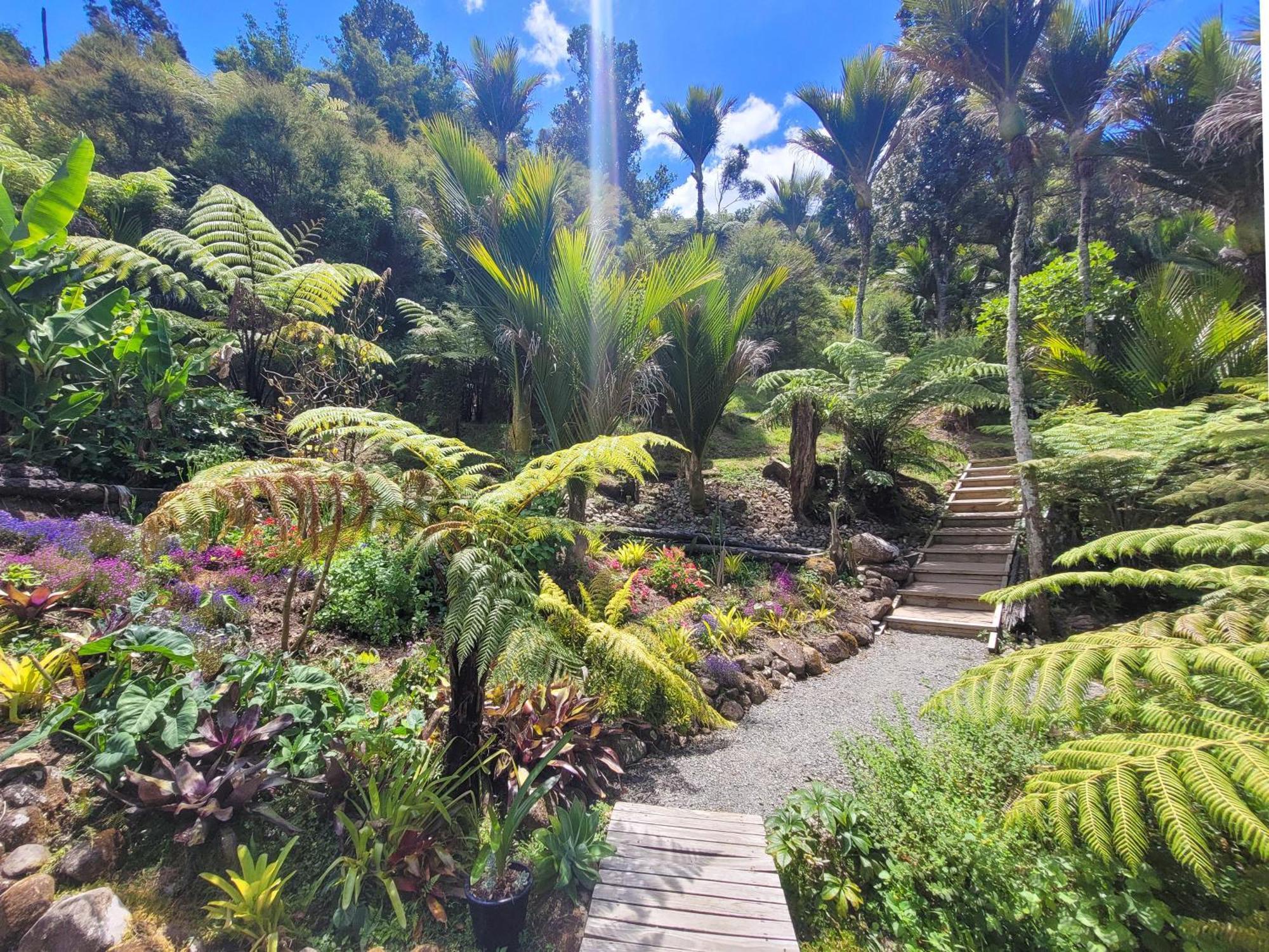 Annabells B&B Whitianga Zewnętrze zdjęcie